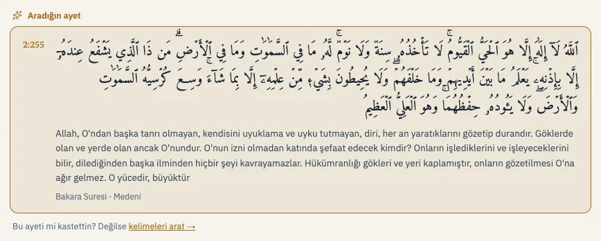 2:255 araması sonucunda en üstte açılan Aradığın ayet kartı